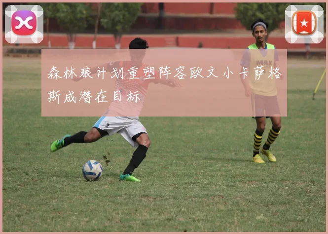 森林狼计划重塑阵容欧文小卡萨格斯成潜在目标